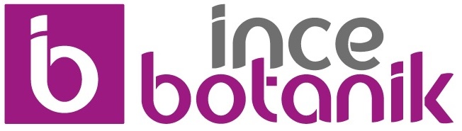 İnce Botanik Logo